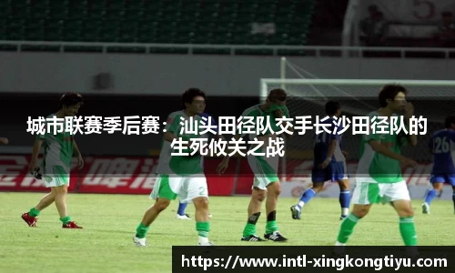 星空体育公司